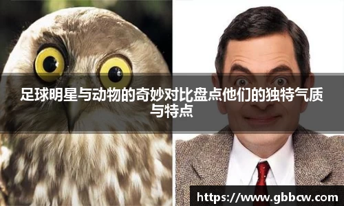 星空.综合体育(中国)官方网站